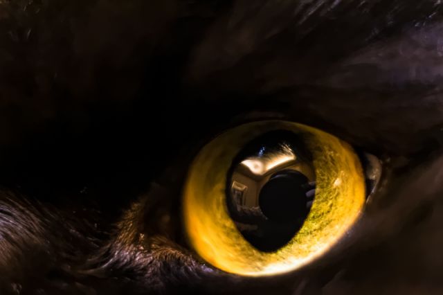 Lens in Lens