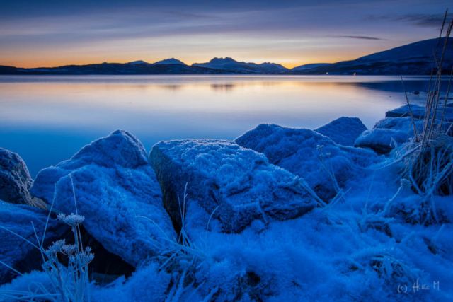 Frost
