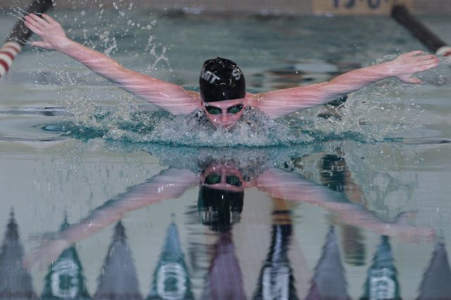 Swimmer