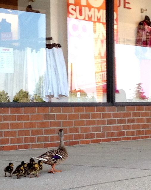 Shopping with the Kids