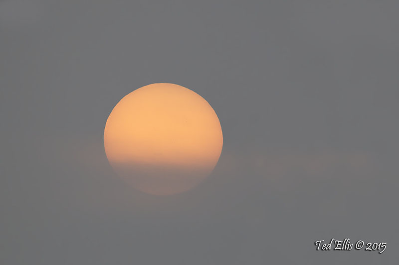 Geometric Sun