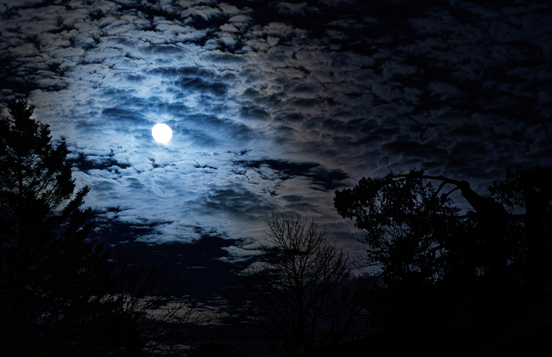 Waning Gibbous Moon