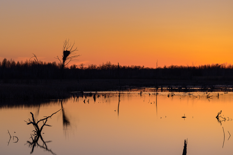 Fading Daylight