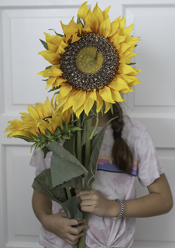 Bring in the Sunflowers