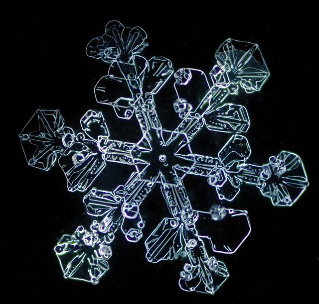 snow crystal