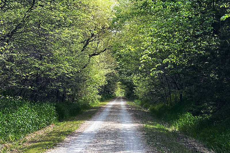 I took the road less traveled...