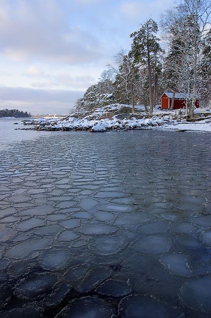 Icy
