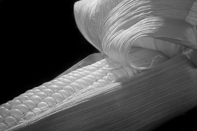 Ordinary objects, interesting perspective