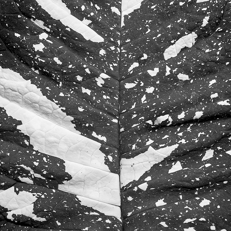 Texture