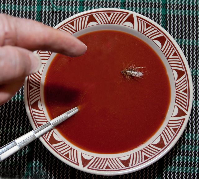 Uhh, Waiter. There's a Fly in My Soup!