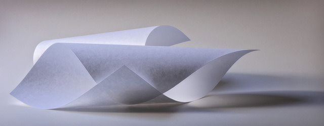 Study In Grey