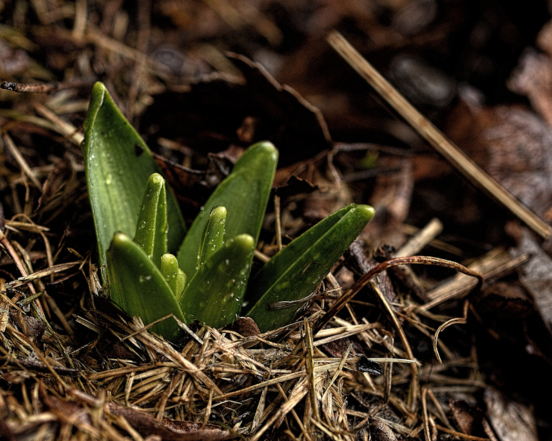 Fresh Starts, New Beginnings