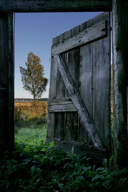 Inside looking out