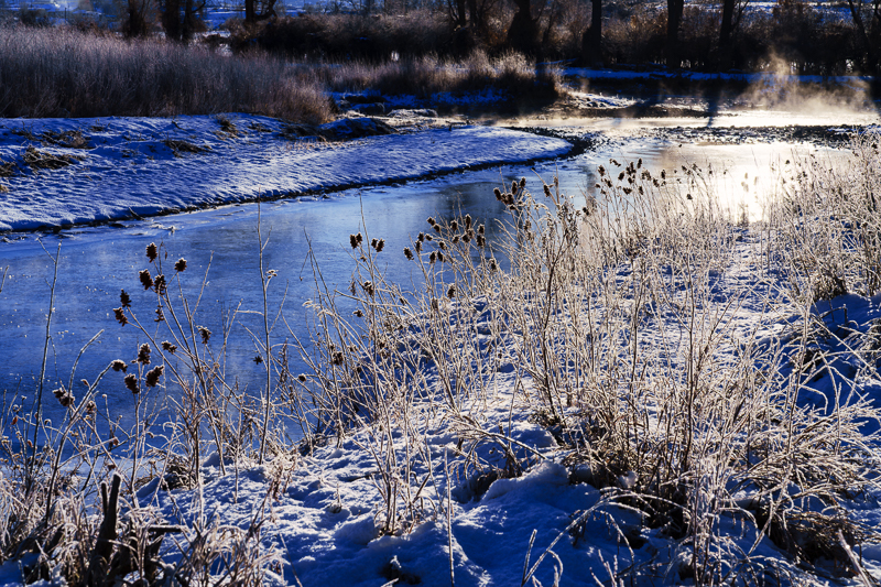 Cold morning landscape