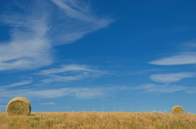 Two Bales