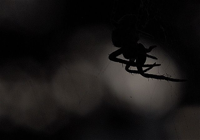 My Dark Side