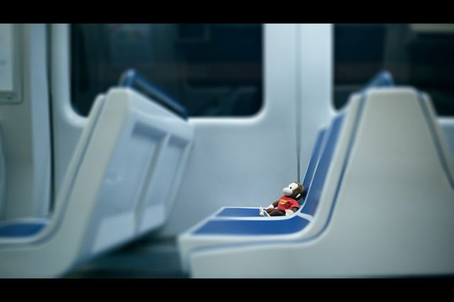 Long Ride For a Monkey By Himself