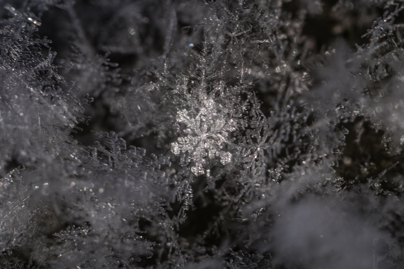 Snow flake