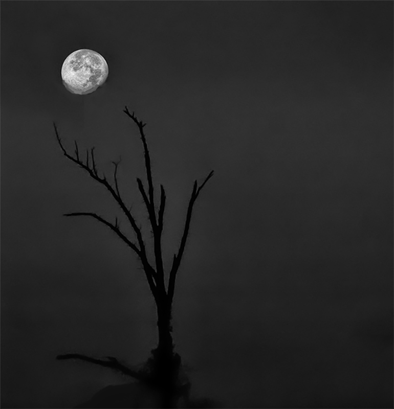 Moon, Fog, Gettysburg Battlefield