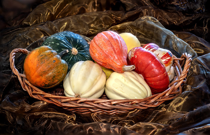Squash