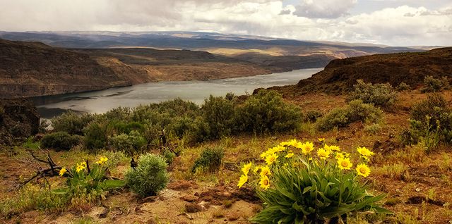 The Gorge