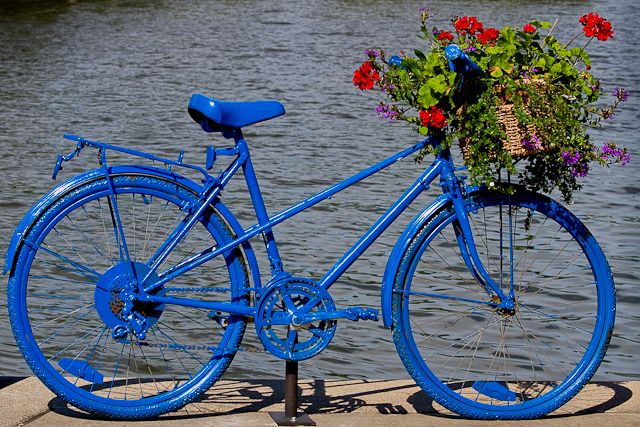 Pedal Power to Petal Power
