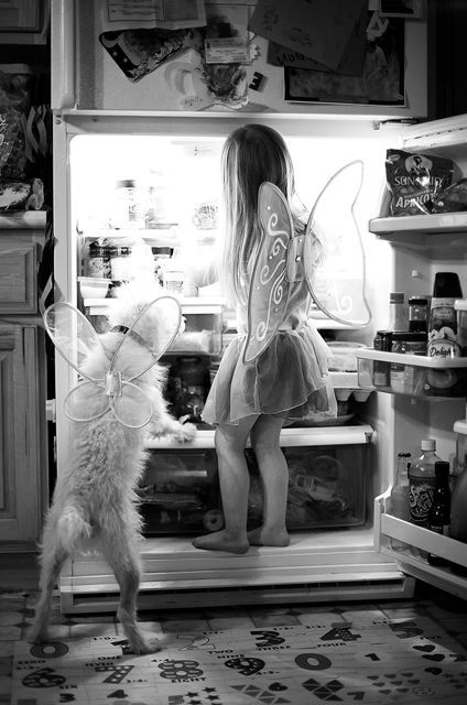 In the refrigerator