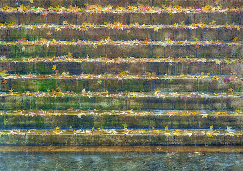Steps of Transparency