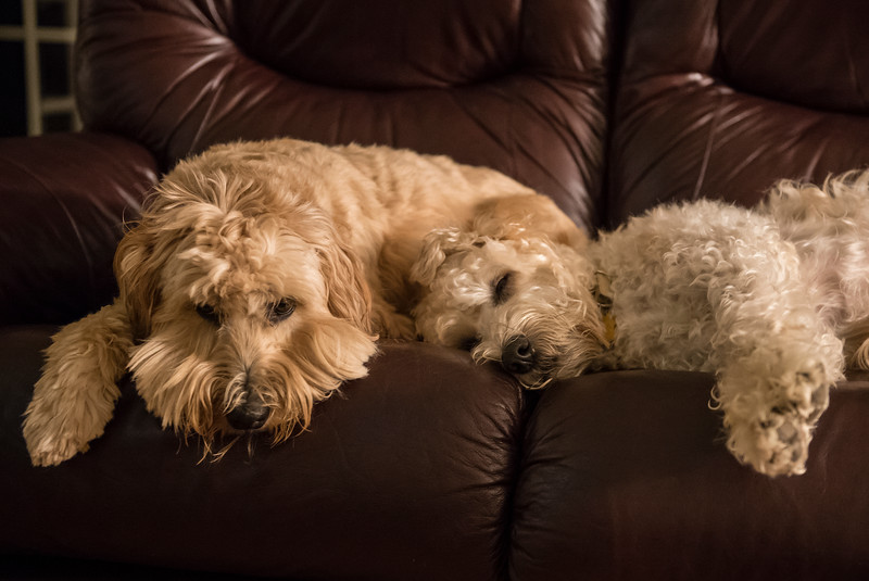 Best Friends