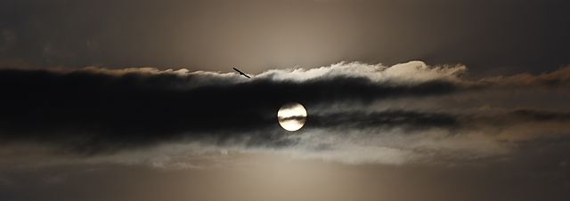 Loneliness