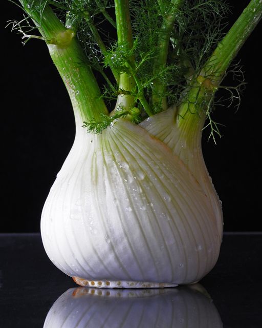 Fresh Fennel