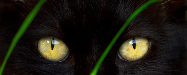 In My Sight