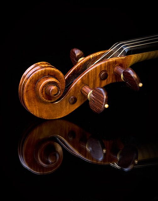 Strad's Scroll