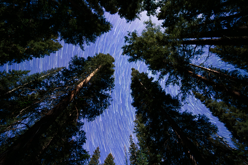 Celestial Canopy