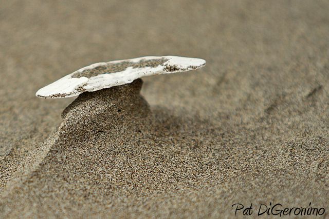 Wind... One Of Mother Nature's Premier Sculptor