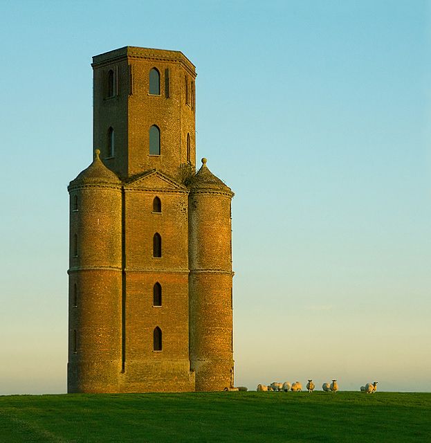 Rapunzel's Tower