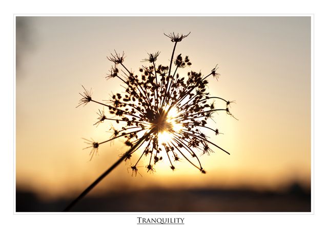 Powerful backlight