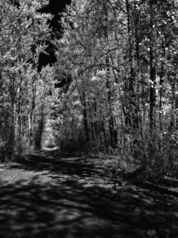 A Dark Path