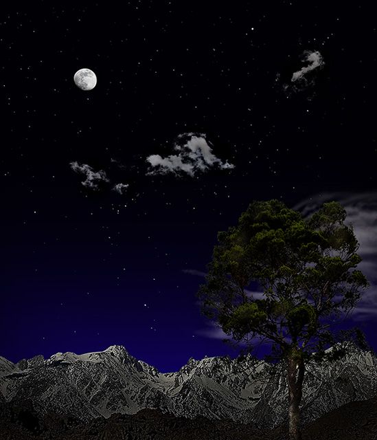 Moonshine