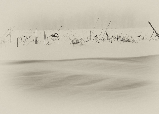 Wind blown snow drift