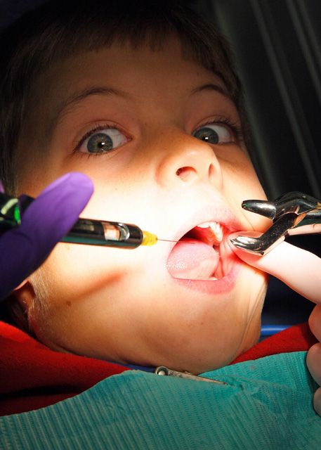 The Dentist