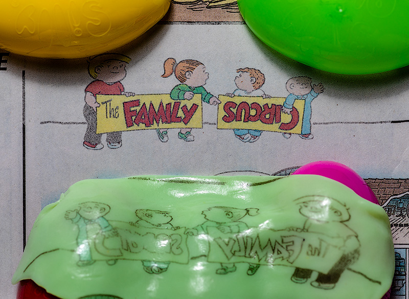 Family sucriC