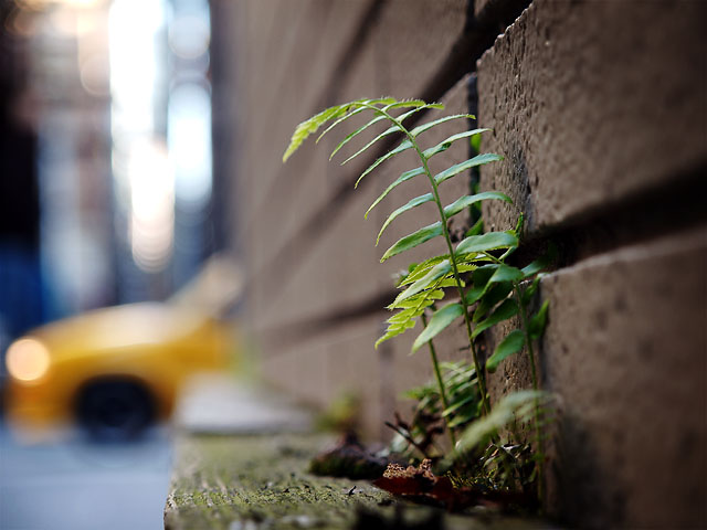 Growing up in the street...