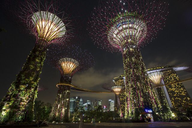 Gardens by the Bay, Singapore