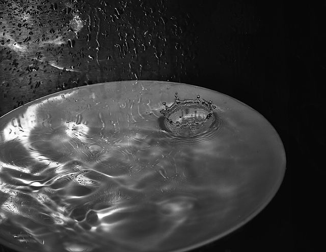 In the Sink