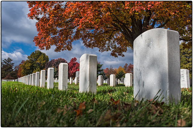 Veteran's Day, November 11