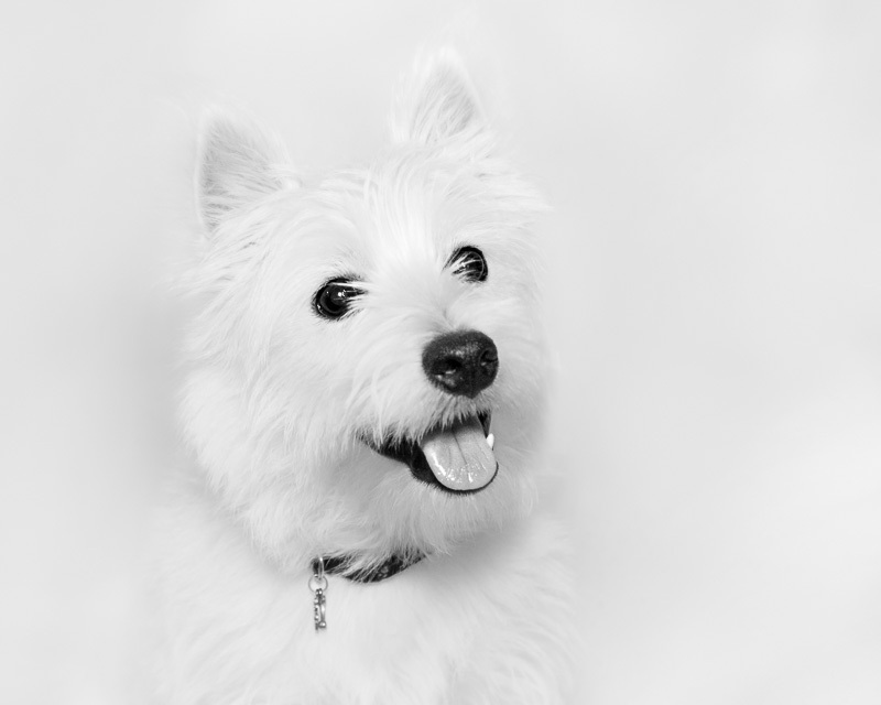 Fiona
