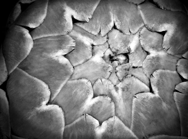 Artichoke