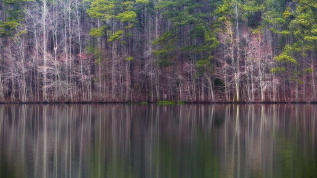 natural lines