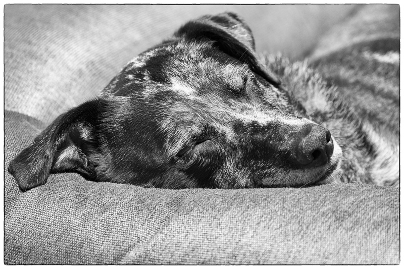 Sleep